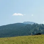 Funerhof Apartman