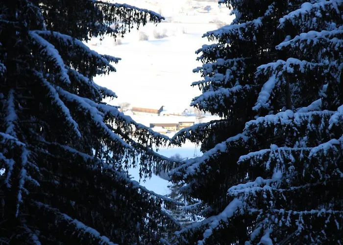 Funerhof アパート インスブルック